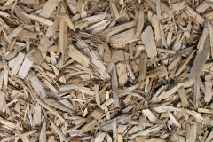 biomass boilers Plumtree