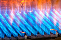 Plumtree gas fired boilers